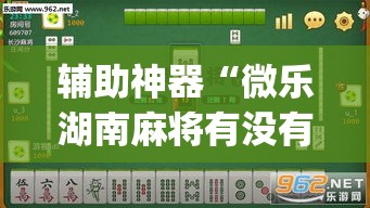 辅助神器“微乐湖南麻将有没有辅助器”(其实有挂)