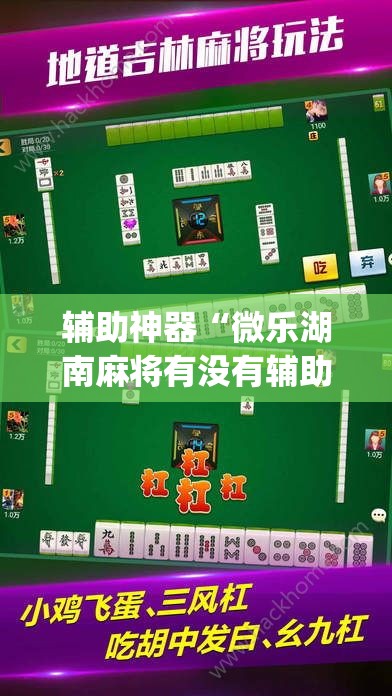 辅助神器“微乐湖南麻将有没有辅助器”(其实有挂)