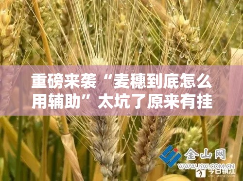 重磅来袭“麦穗到底怎么用辅助”太坑了原来有挂
