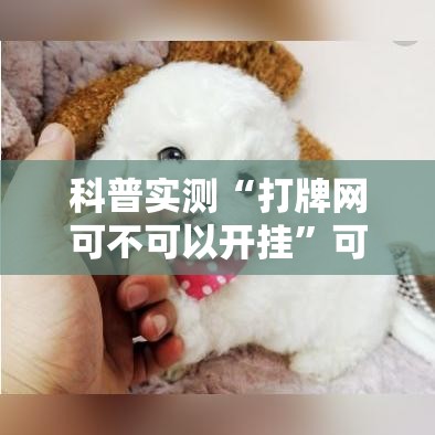 科普实测“打牌网可不可以开挂”可以透视