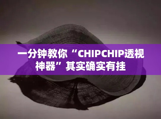 一分钟教你“CHIPCHIP透视神器”其实确实有挂