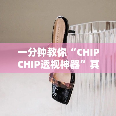 一分钟教你“CHIPCHIP透视神器”其实确实有挂