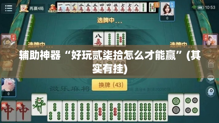 辅助神器“好玩贰柒拾怎么才能赢”(其实有挂)