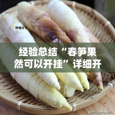 经验总结“春笋果然可以开挂”详细开挂方法