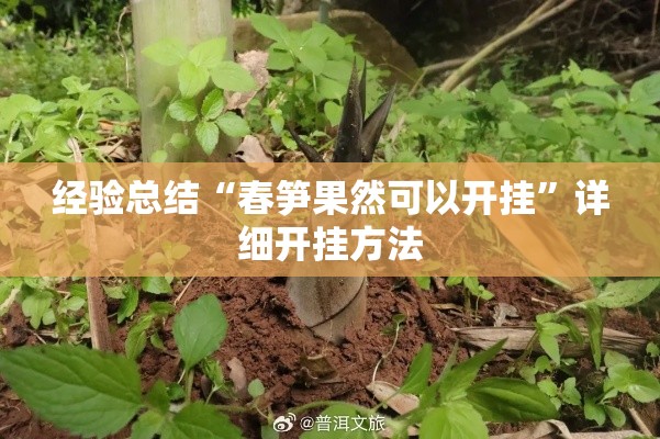 经验总结“春笋果然可以开挂”详细开挂方法