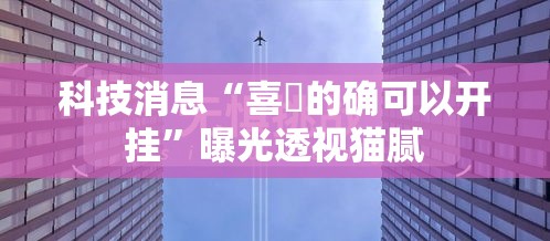 科技消息“喜園的确可以开挂”曝光透视猫腻