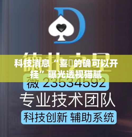 科技消息“喜園的确可以开挂	”曝光透视猫腻