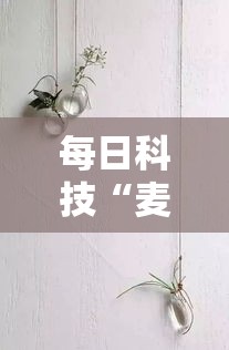 每日科技“麦穗到底有没有开挂器真可以装挂 每日科技“麦穗到底有没有开挂器真可以装挂