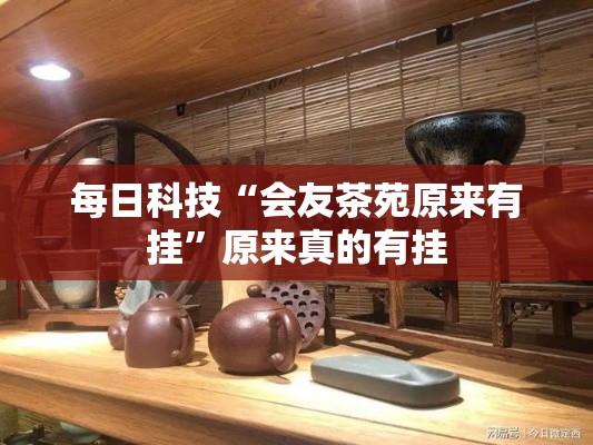 每日科技“会友茶苑原来有挂	”原来真的有挂