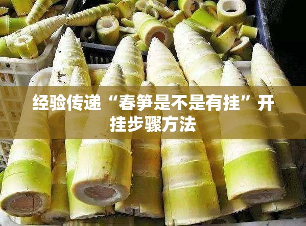 经验传递“春笋是不是有挂”开挂步骤方法