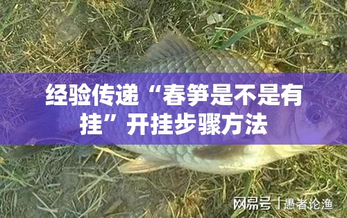 经验传递“春笋是不是有挂”开挂步骤方法