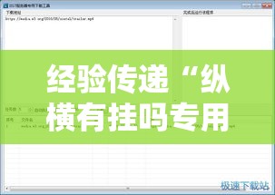 经验传递“纵横有挂吗专用软件”用挂教程