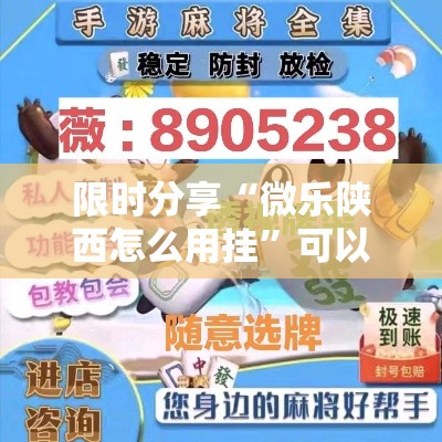 限时分享“微乐陕西怎么用挂”可以开挂