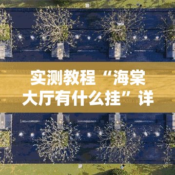 实测教程“海棠大厅有什么挂”详细分享步骤