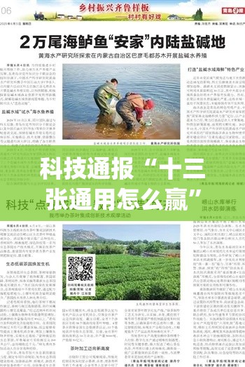 科技通报“十三张通用怎么赢”[确实真的有挂]