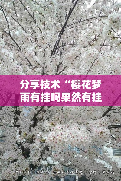 分享技术“樱花梦雨有挂吗果然有挂	”详细辅助