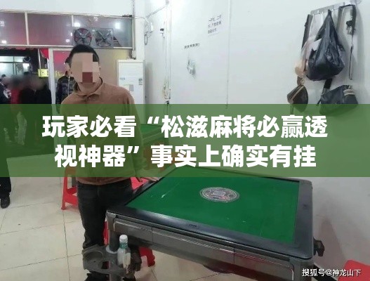 玩家必看“松滋麻将必赢透视神器”事实上确实有挂