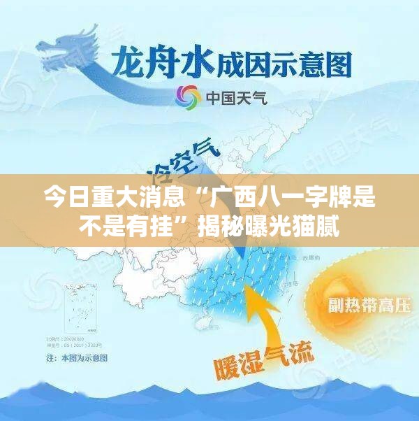 今日重大消息“广西八一字牌是不是有挂”揭秘曝光猫腻