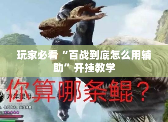 玩家必看“百战到底怎么用辅助”开挂教学