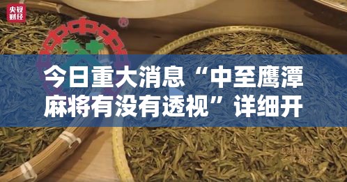 今日重大消息“中至鹰潭麻将有没有透视”详细开挂玩法