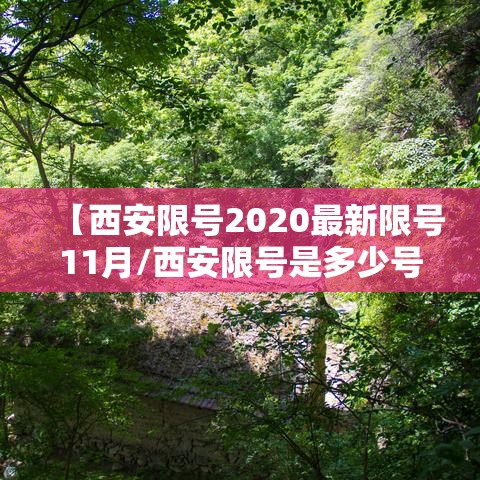 【西安限号2020最新限号11月/西安限号是多少号】