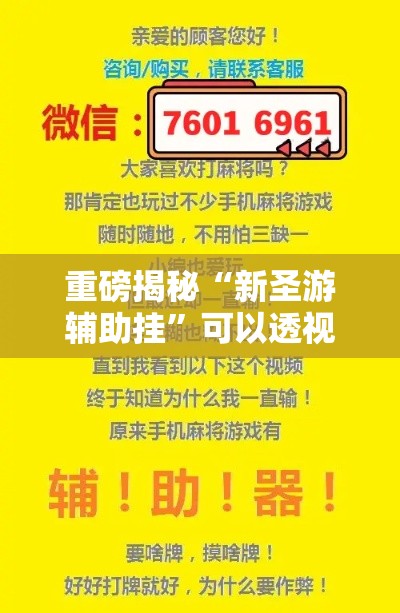 重磅揭秘“新圣游辅助挂	”可以透视