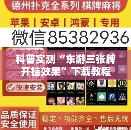 科普实测“东游三张牌开挂效果”下载教程