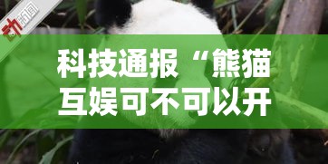 科技通报“熊猫互娱可不可以开透视挂	”可以辅助