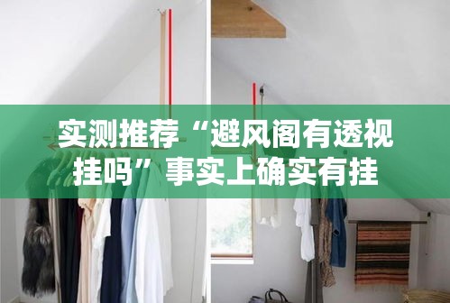 实测推荐“避风阁有透视挂吗”事实上确实有挂
