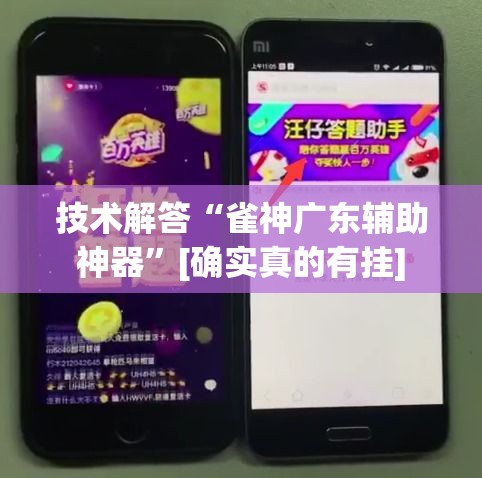 技术解答“雀神广东辅助神器”[确实真的有挂]