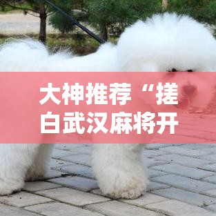 大神推荐“搓白武汉麻将开挂需要多少钱”的确可以开挂