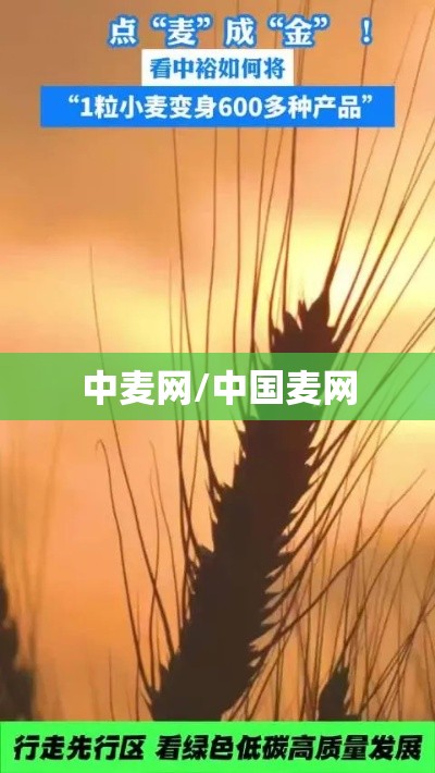中麦网/中国麦网