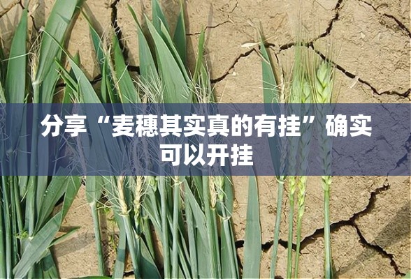 分享“麦穗其实真的有挂	”确实可以开挂
