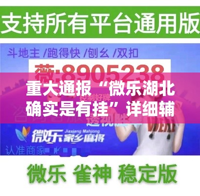 重大通报“微乐湖北确实是有挂”详细辅助