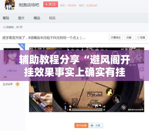 辅助教程分享“避风阁开挂效果事实上确实有挂 辅助教程分享“避风阁开挂效果事实上确实有挂