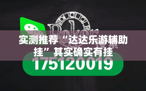 实测推荐“达达乐游辅助挂”其实确实有挂