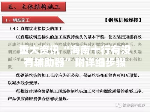 重大资讯“海南十行有没有辅助器”附详细步骤