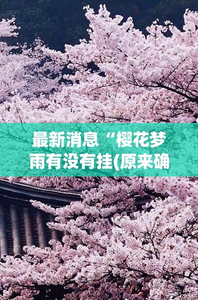 最新消息“樱花梦雨有没有挂(原来确实是有挂) 最新消息“樱花梦雨有没有挂(原来确实是有挂)