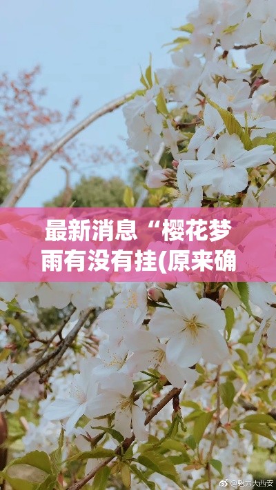 最新消息“樱花梦雨有没有挂(原来确实是有挂) 最新消息“樱花梦雨有没有挂(原来确实是有挂)