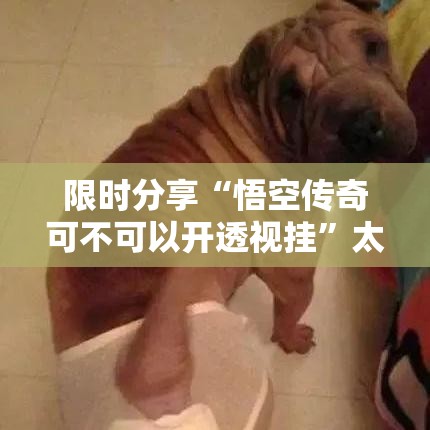 限时分享“悟空传奇可不可以开透视挂	”太坑了真的有挂