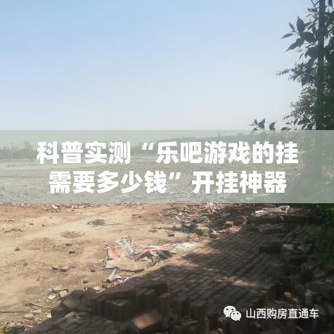 科普实测“乐吧游戏的挂需要多少钱”开挂神器