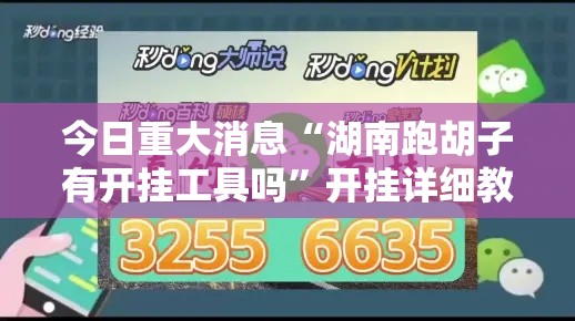 今日重大消息“湖南跑胡子有开挂工具吗”开挂详细教程