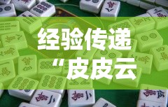 经验传递“皮皮云南麻将有挂吗其实是有挂”分享详细开挂教程