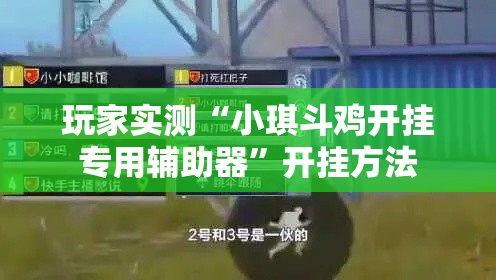 玩家实测“小琪斗鸡开挂专用辅助器”开挂方法