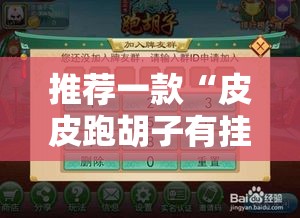 推荐一款“皮皮跑胡子有挂吗确实有挂”其实可以装挂