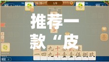 推荐一款“皮皮跑胡子有挂吗确实有挂”其实可以装挂