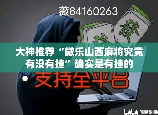大神推荐“微乐山西麻将究竟有没有挂”确实是有挂的