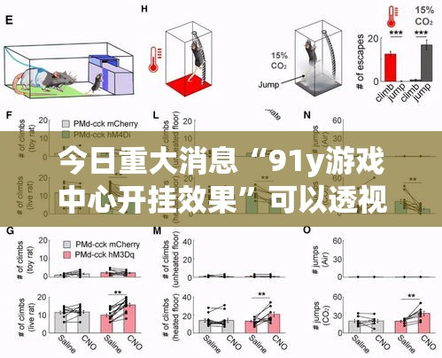 今日重大消息“91y游戏中心开挂效果	”可以透视
