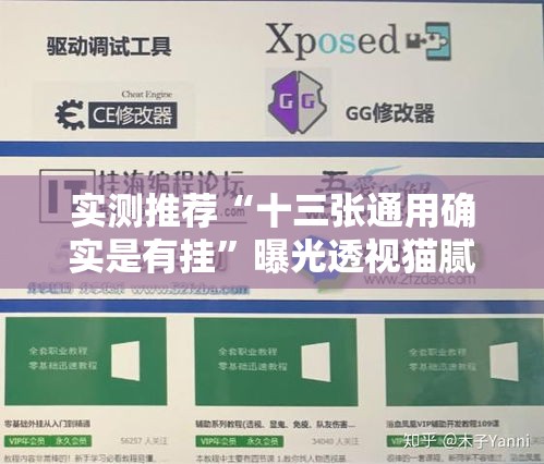 实测推荐“十三张通用确实是有挂”曝光透视猫腻