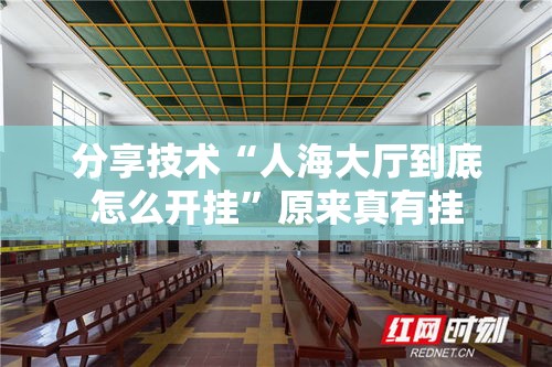 分享技术“人海大厅到底怎么开挂”原来真有挂